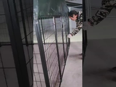 6ft hoog gespannen stalen hondenhok met poederbedekking hondenhuis