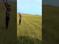 Hot Dip gegalvaniseerd vee hek paneel 8 ft hoogte vaste knoop herten draad gaas hek