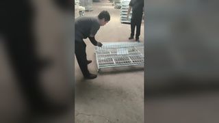 Zwaar uitgevoerde opvouwbare gaasopslagkooien voor magazijnen