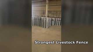 Sterke veeomheining voor veepaarden