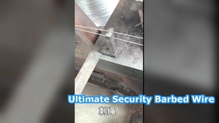 25kg gegalvaniseerd prikkeldraad veiligheidshek