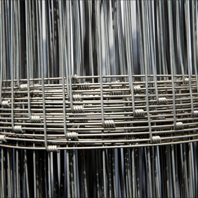 100M Length Corrosion Resistant Easily Assembled Steel Iron Cattle Farm Grille Netting for Farming Livestock Cattle