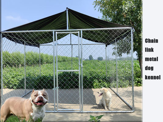 10x10x6ft Steel Dog Kennel gegalvaniseerd keten link Dog Run Kennel