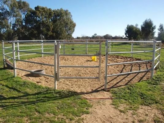 Gegalvaniseerde gesoldeerde pijp Beesteheining 8FT Paardenboerderij hekpanelen