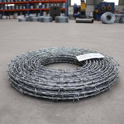 Hot-dipped Galvanized 450mm Outdiameter Razor Barbed Wire with High Tensile Strength for Security Fencing