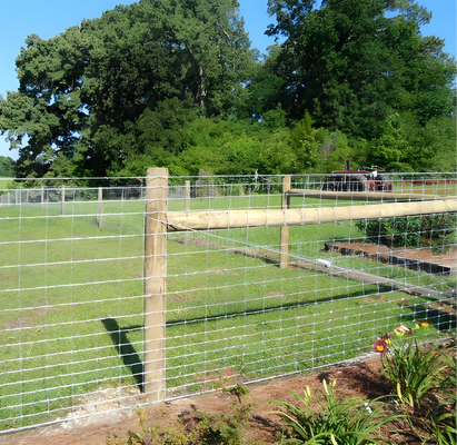 2.5mm High Tensile Wire Livestock Fence with Fixed Knot and Hot-dipped Galvanized for Cattle and Sheep