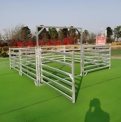 Warm gedompeld gegalvaniseerd 6 rails 10 voet hoog zwaar vee hek paneel voor vee korrel